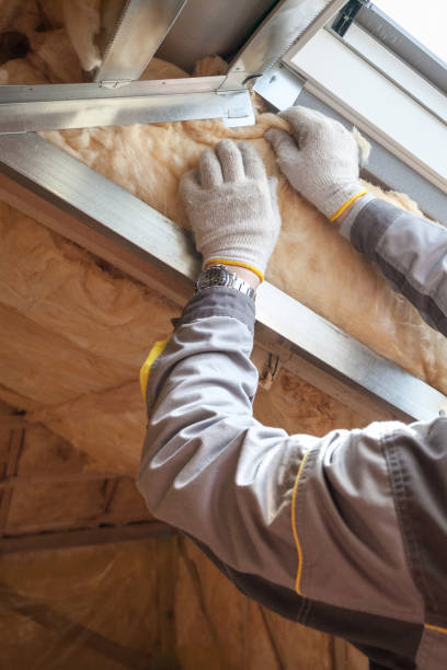 Best Insulation Contractor Near Me  in St Maries, ID